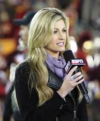 Erin Andrews, Sports Commentator