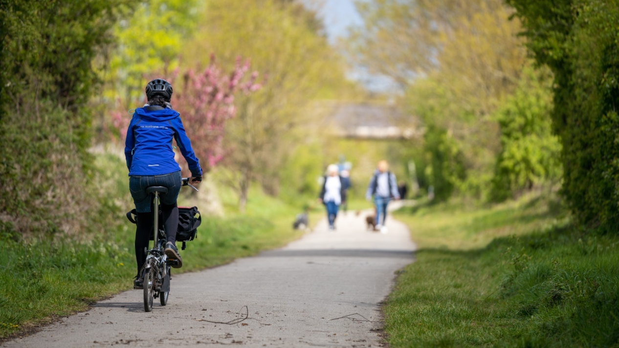 A woman cycles down a path flanked by trees on a sunny day, with walkers approaching from the opposite direction.