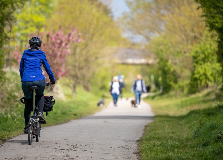 A woman cycles down a path flanked by trees on a sunny day, with walkers approaching from the opposite direction.